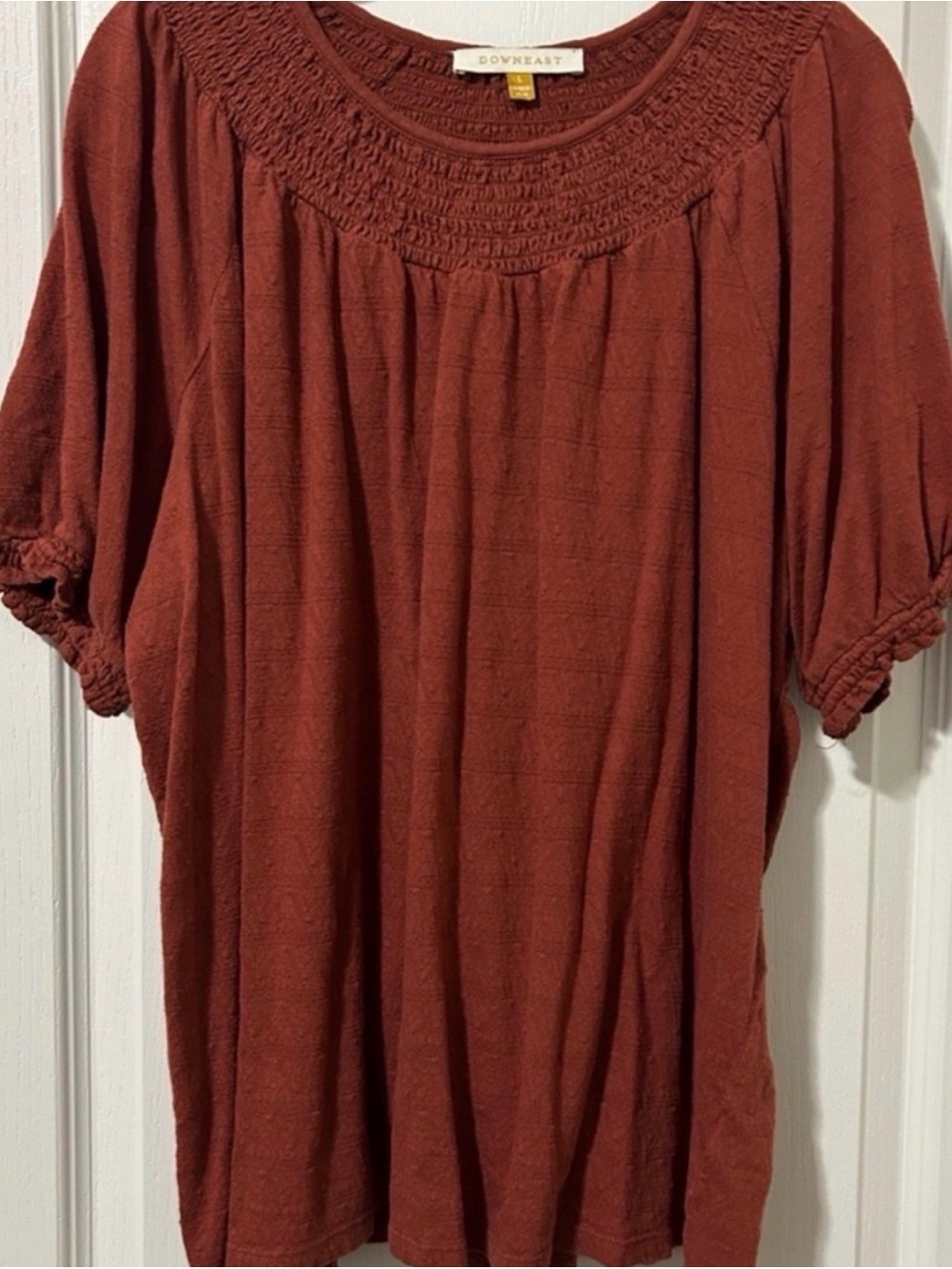 DownEast Rust Smocked Yoke Short Sleeve Tunic